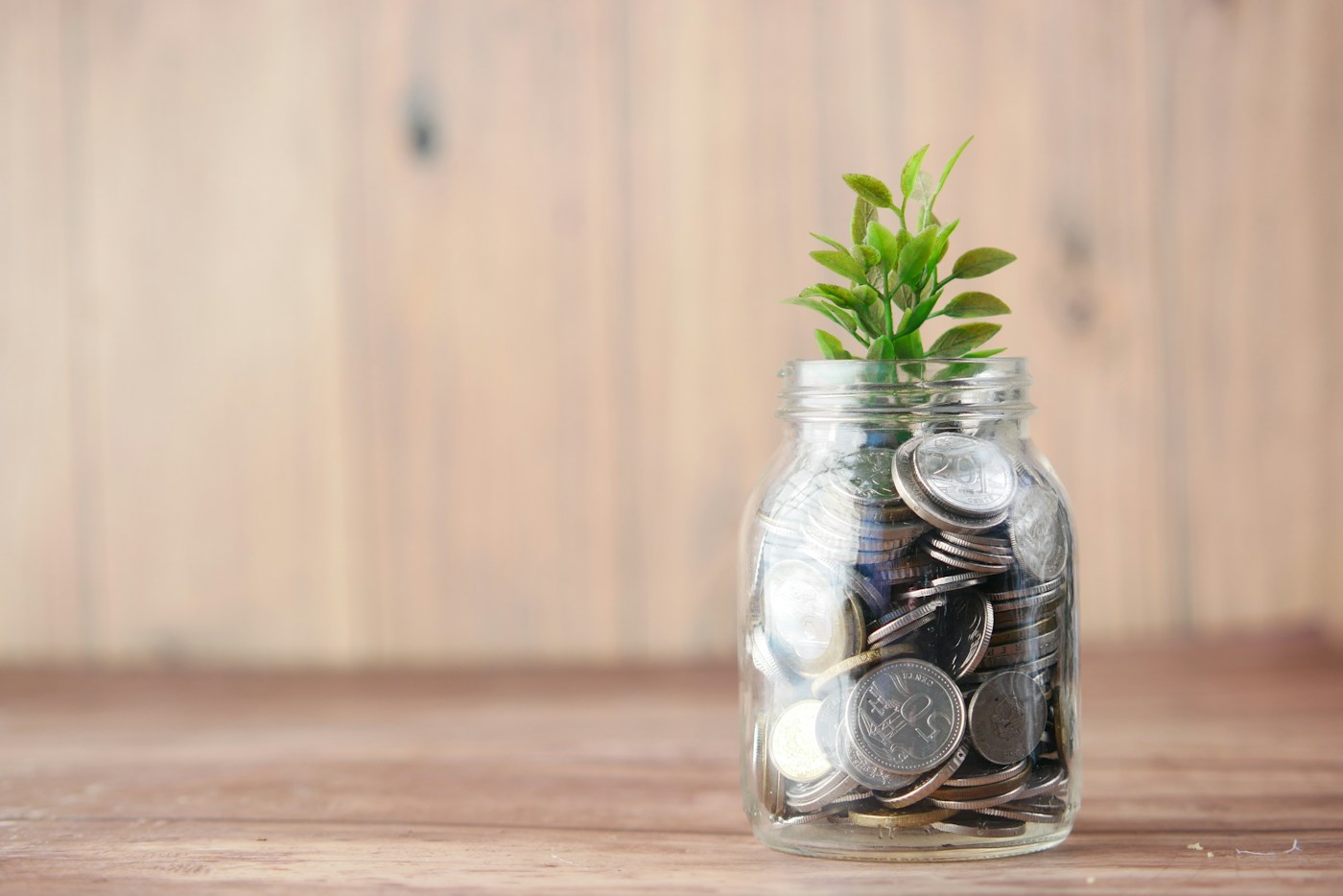 A jar of coins with a small plant sprouting from the top